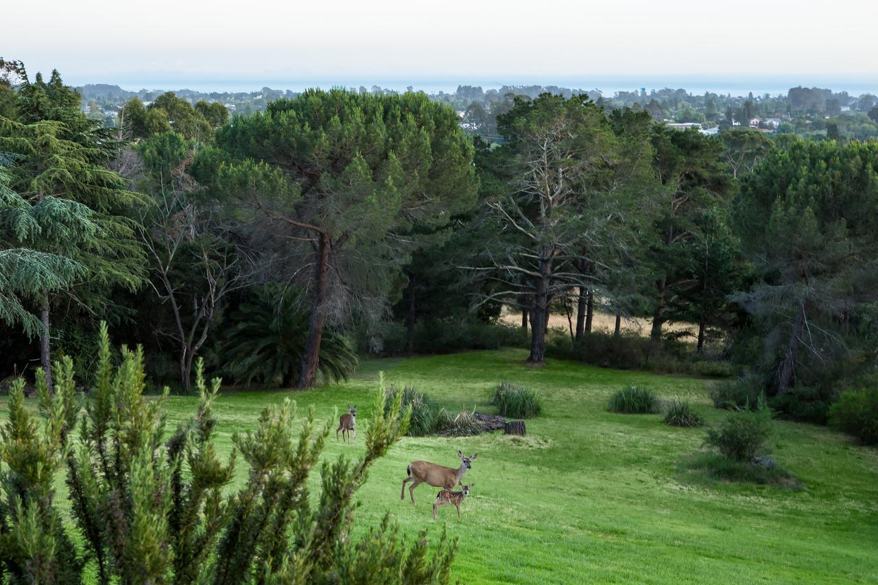 Chaminade Resort & Spa Σάντα Κρουζ Εξωτερικό φωτογραφία